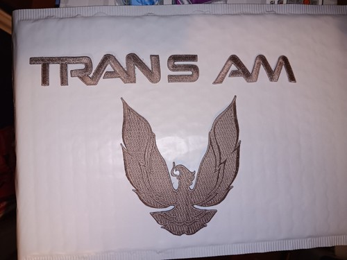 Trans embroidered patch - am,